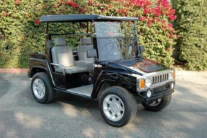 affordable golf cart rental, golf cart rent jacksonville, cart rental jacksonville